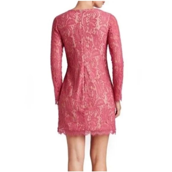 Dress The Population Cambria pink lace nude lining sheer long sleeve mini dress - Picture 2 of 9
